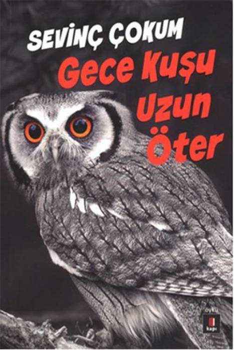 Gece Kuşu Uzun Öter Kapı Yayınları