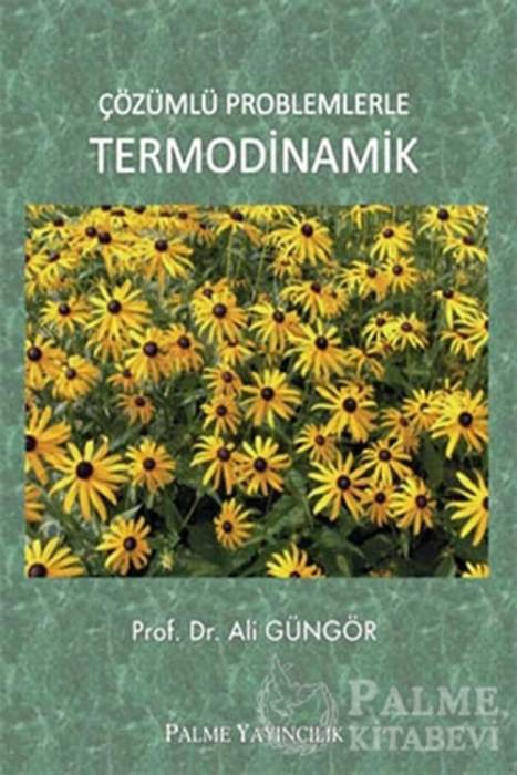 Palme Çözümlü Problemlerle Termodinamik Palme Yayınevi